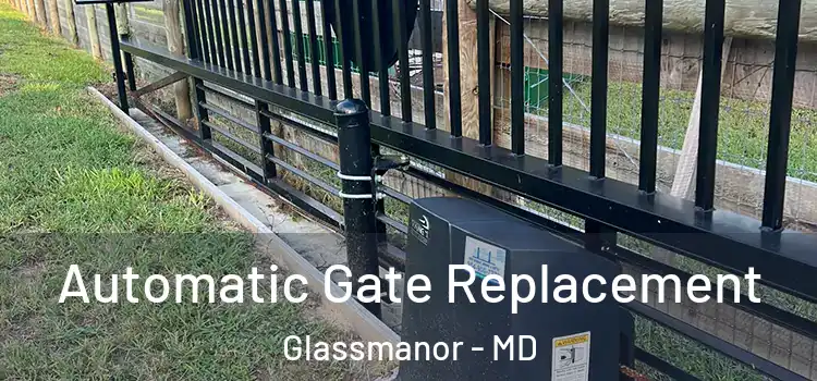  Automatic Gate Replacement Glassmanor - MD