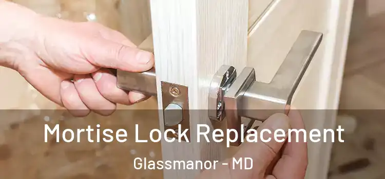  Mortise Lock Replacement Glassmanor - MD